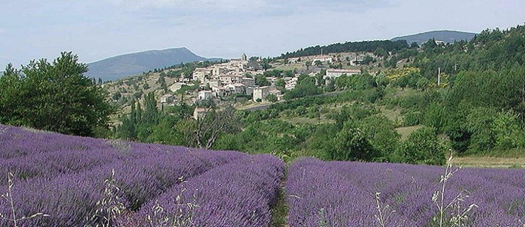 Provence Titel